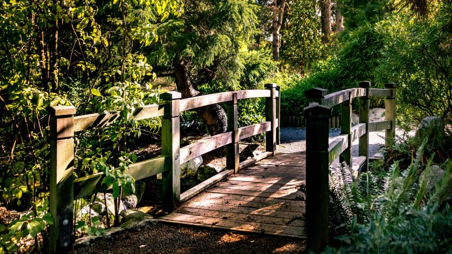 EGP Bridge