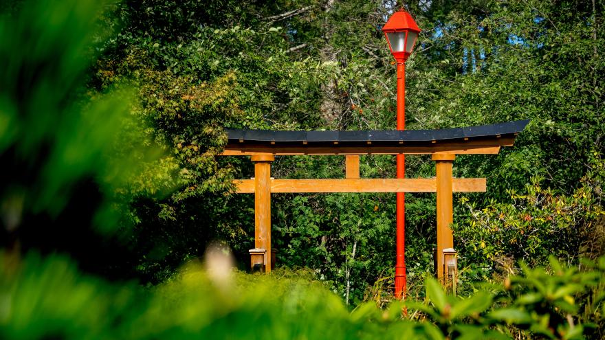 EGP Tori Gate